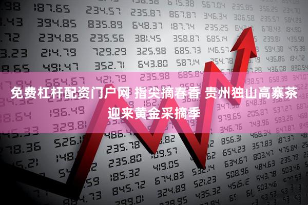 免费杠杆配资门户网 指尖摘春香 贵州独山高寨茶迎来黄金采摘季